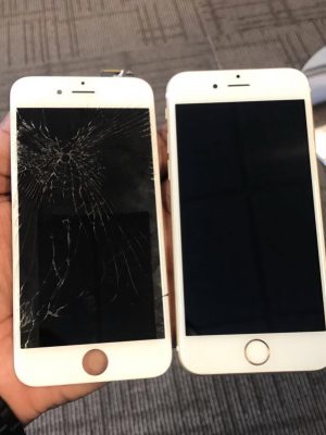 screen repair services